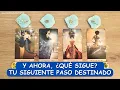 Download Lagu Los primeros pasos del nuevo ciclo que comienza. 🙏🤩✨🏹🪄🌈☀️