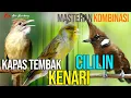 Download Lagu MASTERAN KAPAS TEMBAK - CILILIN - KENARI