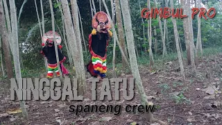 Download NINGGAL TATU versi Samboyo Spaneng crew MP3