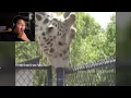 AYO WHAT THE GIRAFFE DOING TO THE POLE Markiplier