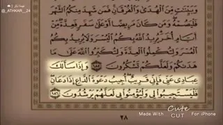 ايات من القران الكريم تعطى امل فى الحياه   دندنها