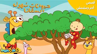 حيوانات السافانا - قصة محكية والمزيد 🦁🌅 | آدم ومشمش