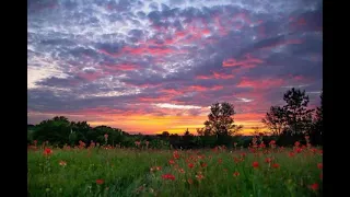 تغريد خلوي ماشاء الله فنان 