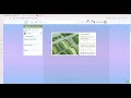 carrd inspired everskies layout