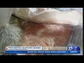 Illegally harvested seafood seized at Hidalgo International Bridge