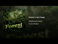 Runnel & Bird Songs