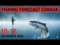 FISHING FORECAST in Canada from 10 to 16 November 2025 Drop Everything and Go Fishing