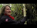 WPI s Institute on Project-Based Learning