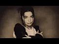 Björk - Human Behaviour (Audio)