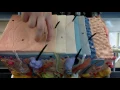 Anatomy I Episode 1 Layers of Epidermis - TEACHER T