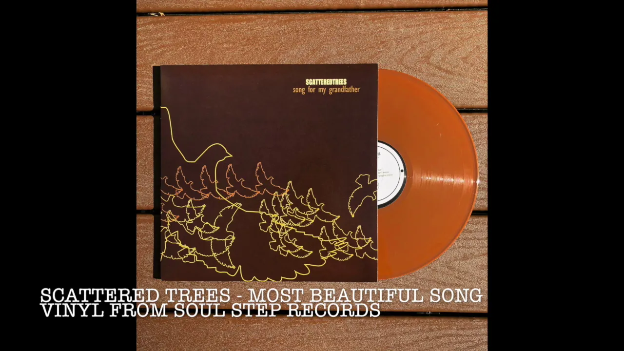 Scattered Trees - Most Beautiful Song Scattered Trees - Most Beautiful Song