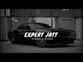 Expert Jatt (Slowed x Reverb) New Song 🎵 