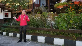 Светослав Стойчев Днес е празник 