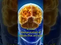 Download Lagu What causes chronic pain?