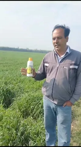 अंबाला के कुलदीप सिंह ने नैनो डीएपी के गिनाए कैसे फायदे | वनइंडिया हिंदी
