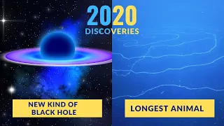 thrilling discoveries made by scientists in 2020