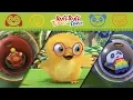 Download Lagu Ruff-Ruff, Tweet and Dave Compilation | A Happy Adventure AND MORE | Cartoons for Children