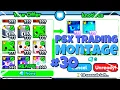 RAINBOW HUGES PSX Trading Montage Pet Simulator X