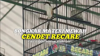 cendet recare bongkar materi mewah tembakan tajam 