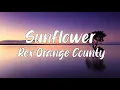 Sunflower Lyrics - Rex Orange County