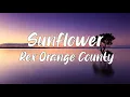 Download Lagu Sunflower Lyrics - Rex Orange County