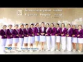 THG Company Profile English Version