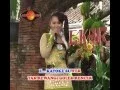 Download Lagu Ngamen6,by.Campursari Tokek Sekar Mayank(call:+628122598859)