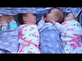 She beat 1-in-40-million odds Now she s raising identical quadruplets