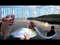 Download Lagu Saroz Körfezi Balık Patlaması! Mercan, Zargana, Kuzu Palazı Hepsi Bu Videoda 😱🎣