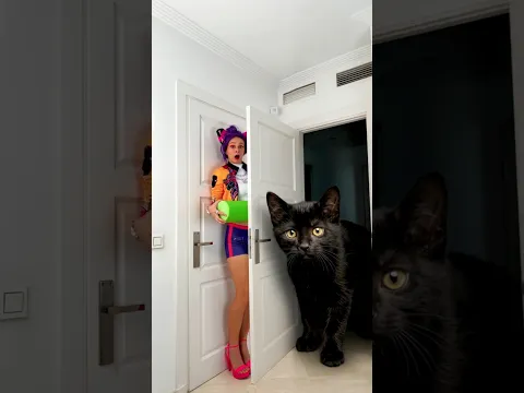 OMG Rumi Was Found By A GIANT CAT 🐍😨