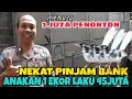 Download Lagu Brigadir Candra - tekuni ternak murai batu bahkan hasil ternaknya laku sampai vietnam