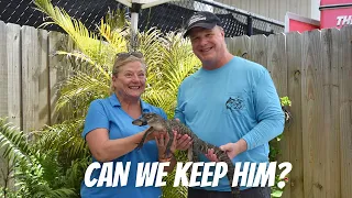 Florida Everglades & Alligators by Airboat | Boating Journey