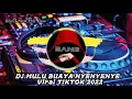 Download Lagu DJ MULU BUAYA NYENYENYE VIRAL TIKTOK TERBARU 2022