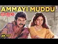 Download Lagu Ammayi Muddu 4K Video Song | Kshana Kshanam | Venkatesh,Sridevi | M. M. Keeravani | Telugu Old Songs