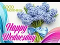 Happy Wednesday Wishes Beautiful Flower Greetings for a Joyful Day