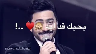 لو عشت احلف طول حياتي كلها تامر حسني اشتركوا في قناتي 