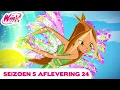 Download Lagu Winx Club | VOLLEDIGE AFLEVERING | De Redding van de Paradijsbaai | Seizoen 5 Aflevering 24