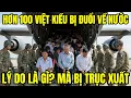 Lagu Hơn 100 Việt Kiều Bị Đuổi Về Hà Nội: Lý Do Là Gì?