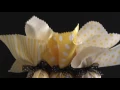 Bumble Bee Party Set