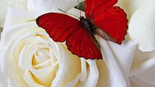 قصيده امرؤ القيس القصيده كامله علي القناه لها مقله لو انها نظرت بها 