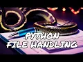 File Handling in Python how to Read Write and Manage Files