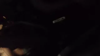       دندنها