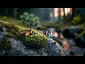 Download Lagu Peaceful Guitar for Deep Sleep ~ Serene Acoustic Guitar Music for Relaxation