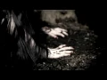 Project Pitchfork - Lament (official video)