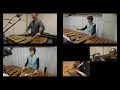 打楽器で「時の草原　ホーム・ワールド」【弾いてみた】