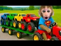 Lagu Monkey Baby Bon Bon drives a car and plays with puppy and duckling by the track | BonBon Indonesian