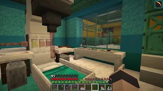 Hermitcraft S11#14: Details Overload