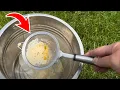 How To Keep Deer Away From Flowers And Gardens Liquid Fence Copycat Deer Repellant