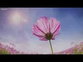 You & Me (NO RAIN): Beautiful Relaxing Piano Music By Peder B. Helland For Relaxation & Deep Sleep