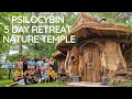 5 Day Psilocybin Mushroom Retreat - Nature Temple